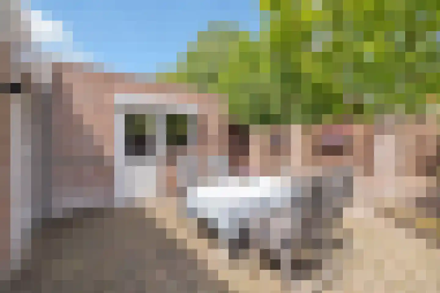 Elandlaan 29 Helmond thumbnail 51