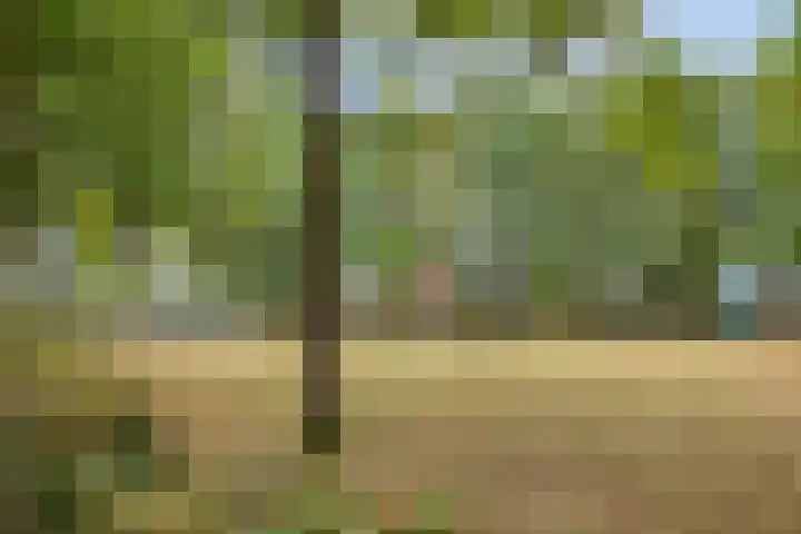 Elandlaan 9 Helmond thumbnail 39