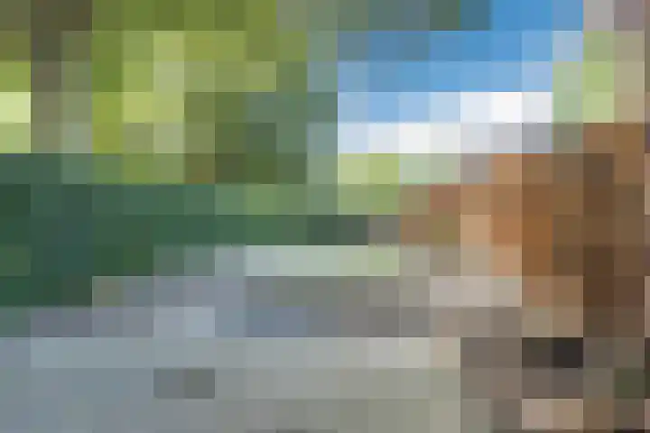 Elandsgang 1 Tilburg thumbnail 11