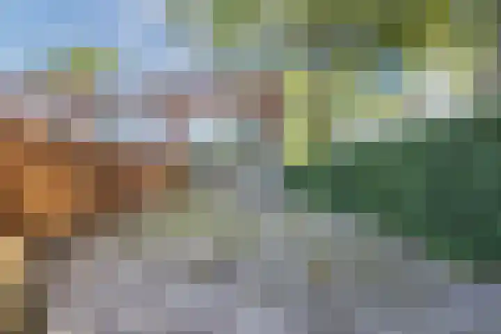 Elandsgang 1 Tilburg thumbnail 12