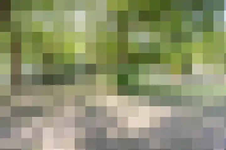 Elandsgang 1 Tilburg thumbnail 29