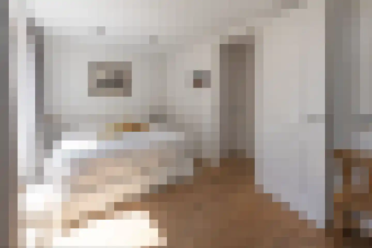 Elandsgracht 103 B Amsterdam thumbnail 10