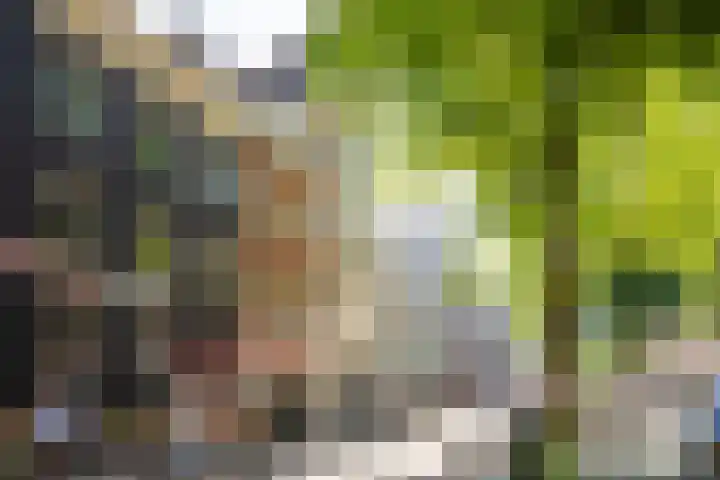 Elandsgracht 142 2 Amsterdam thumbnail 25