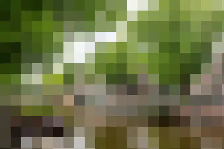 Elandsgracht 142 2 Amsterdam thumbnail 30