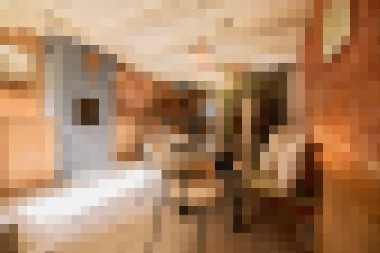 Elandsgracht 21 Amsterdam thumbnail 12