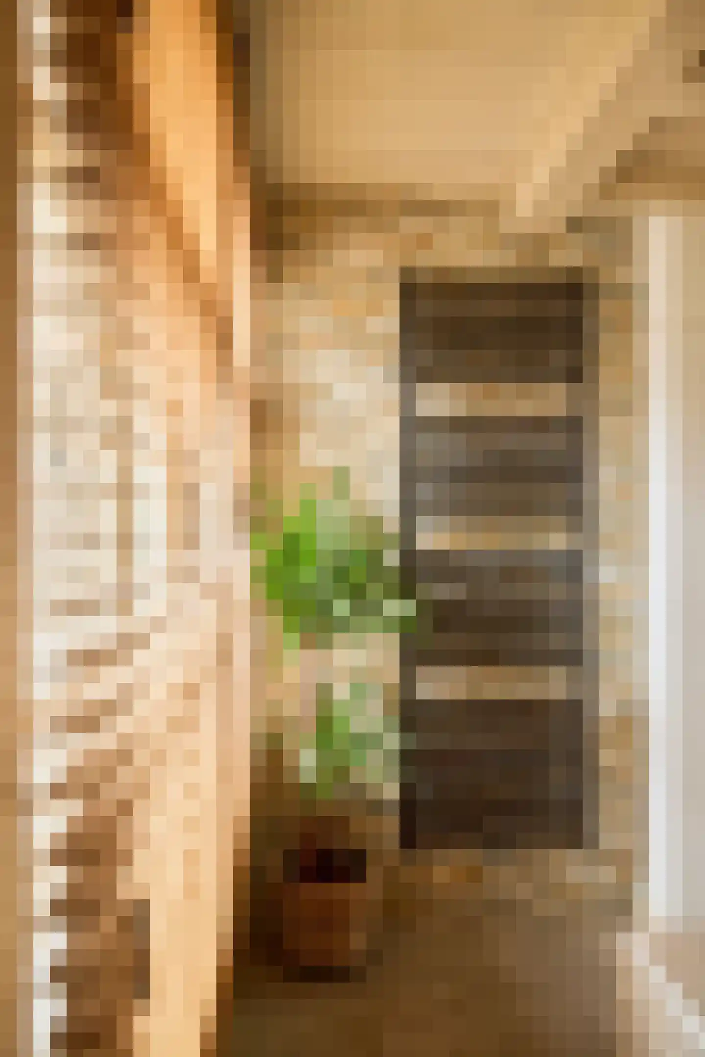 Elandsgracht 21 Amsterdam thumbnail 31