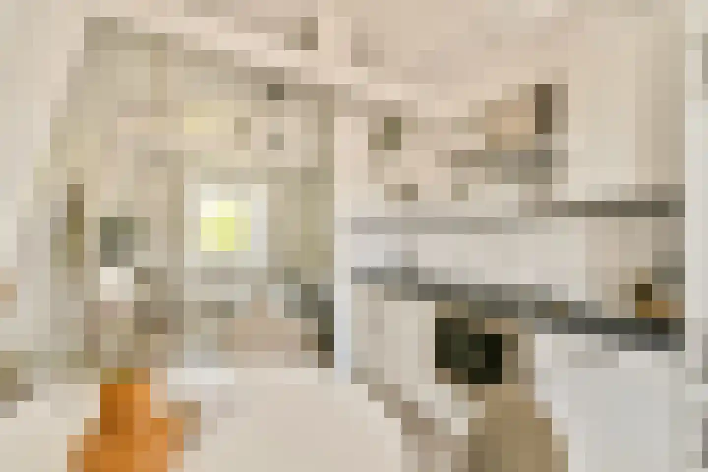 Elandsgracht 3 1 Amsterdam thumbnail 6