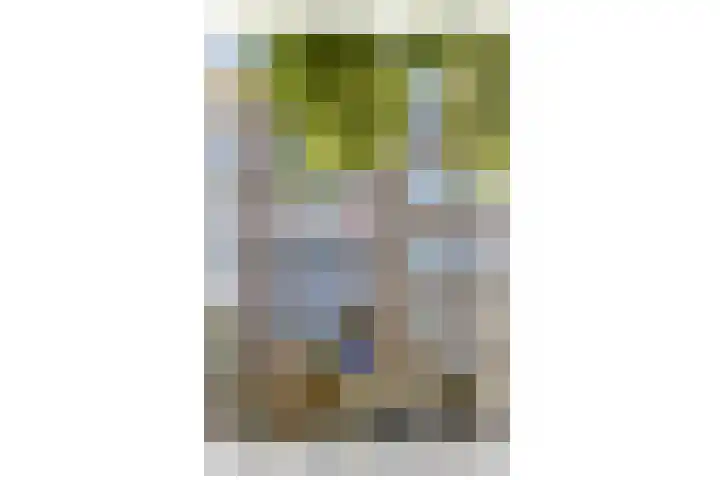 Elandsgracht 59 1V Amsterdam thumbnail 18