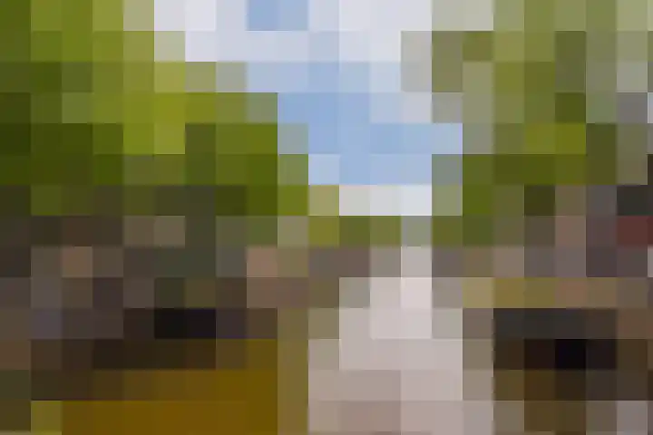Elandsgracht 98 1 Amsterdam thumbnail 23