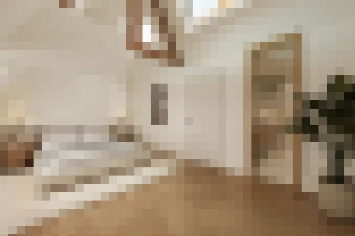 Elandsgracht 98 3 Amsterdam thumbnail 9