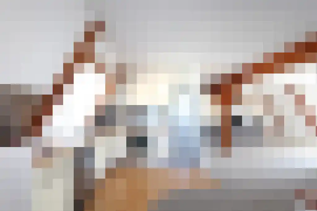 Elandsstraat 2 Amsterdam thumbnail 5