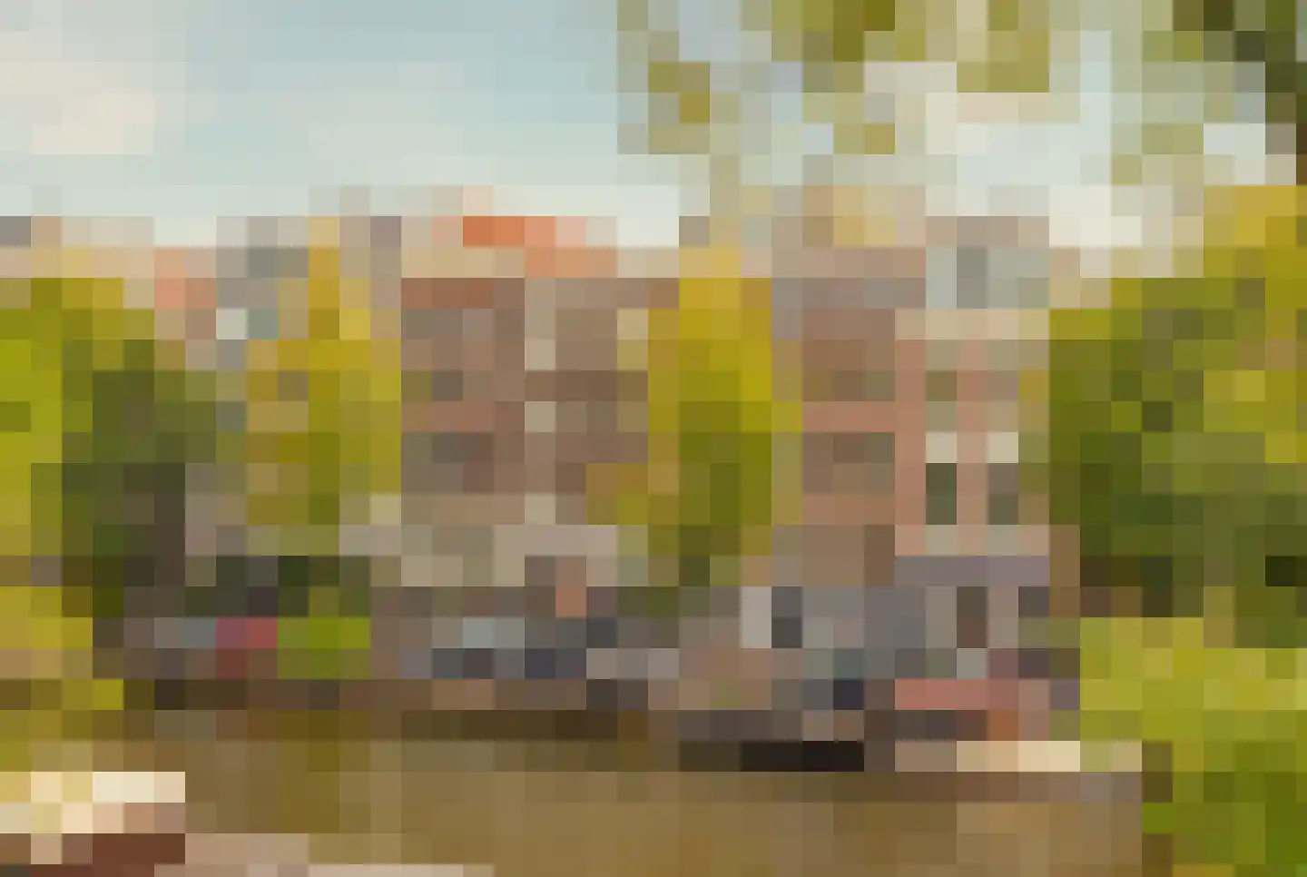 Elandsstraat 2 B Amsterdam thumbnail 27