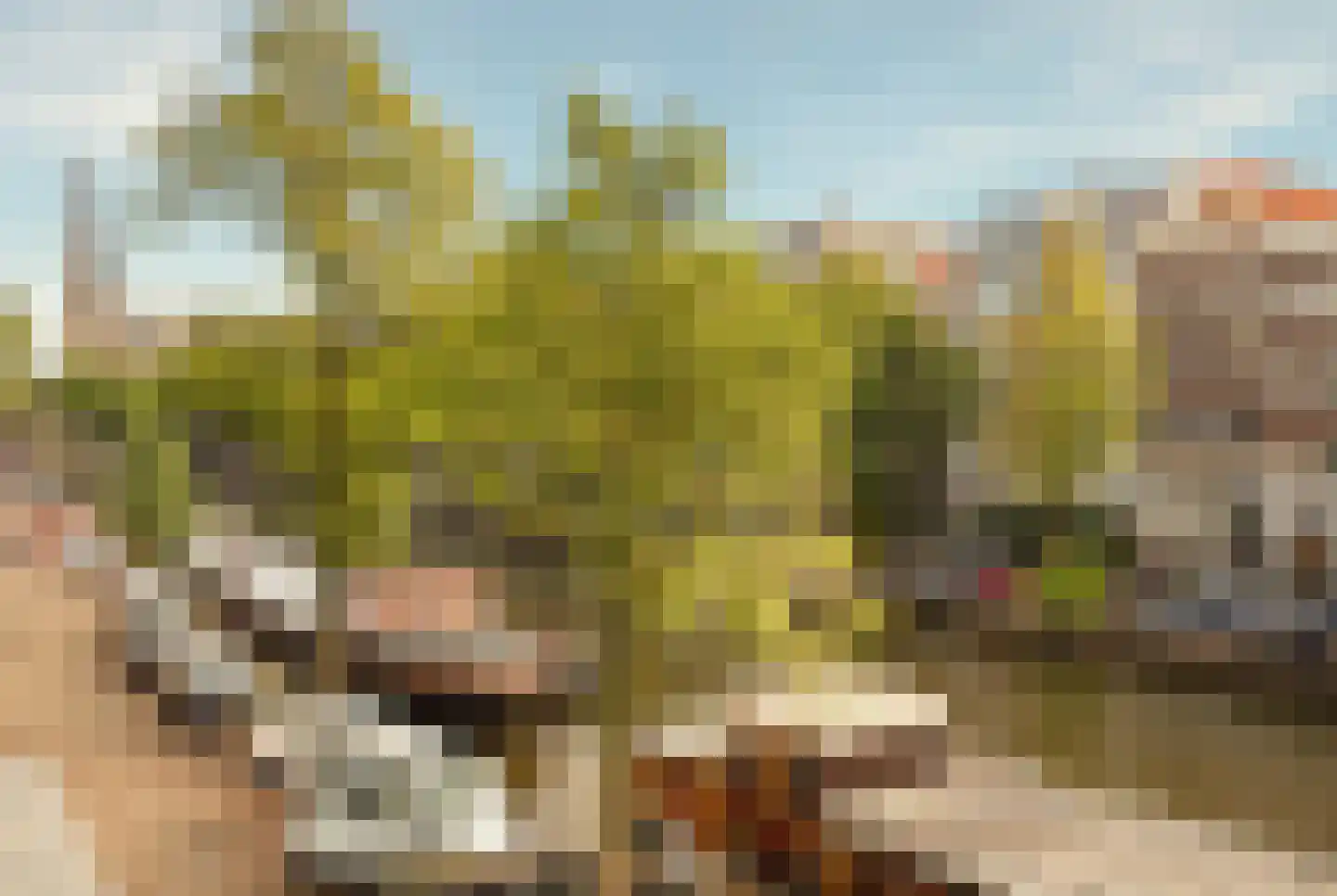 Elandsstraat 2 B Amsterdam thumbnail 29