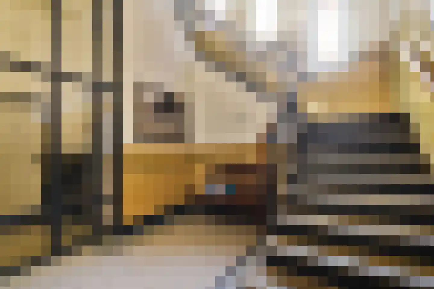 Elandsstraat 24 D Amsterdam thumbnail 5