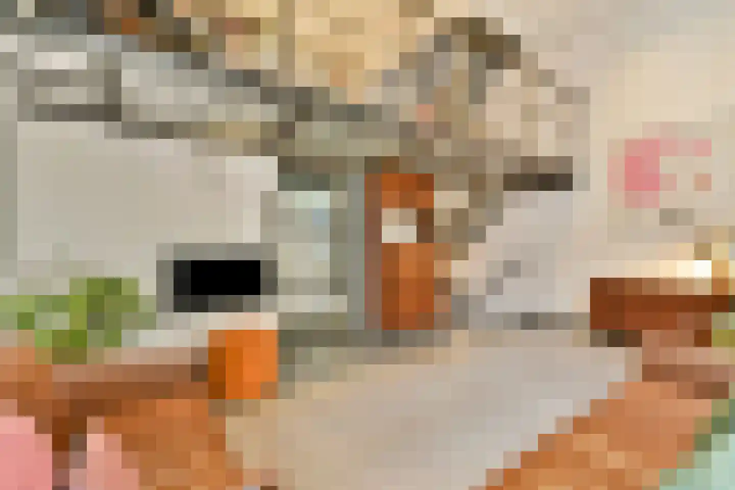 Elandsstraat 24 D Amsterdam thumbnail 7