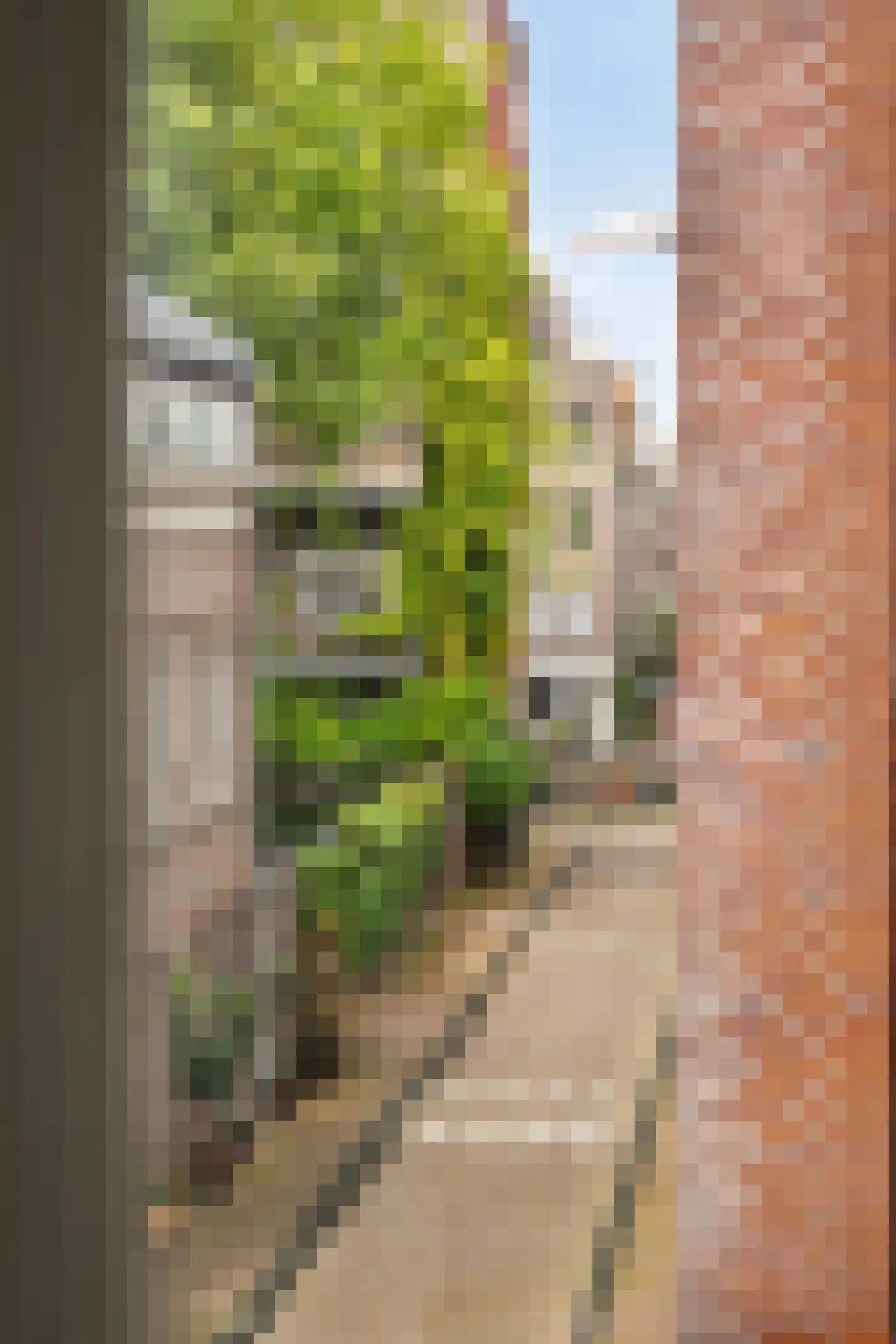 Elandsstraat 3 B Amsterdam thumbnail 31