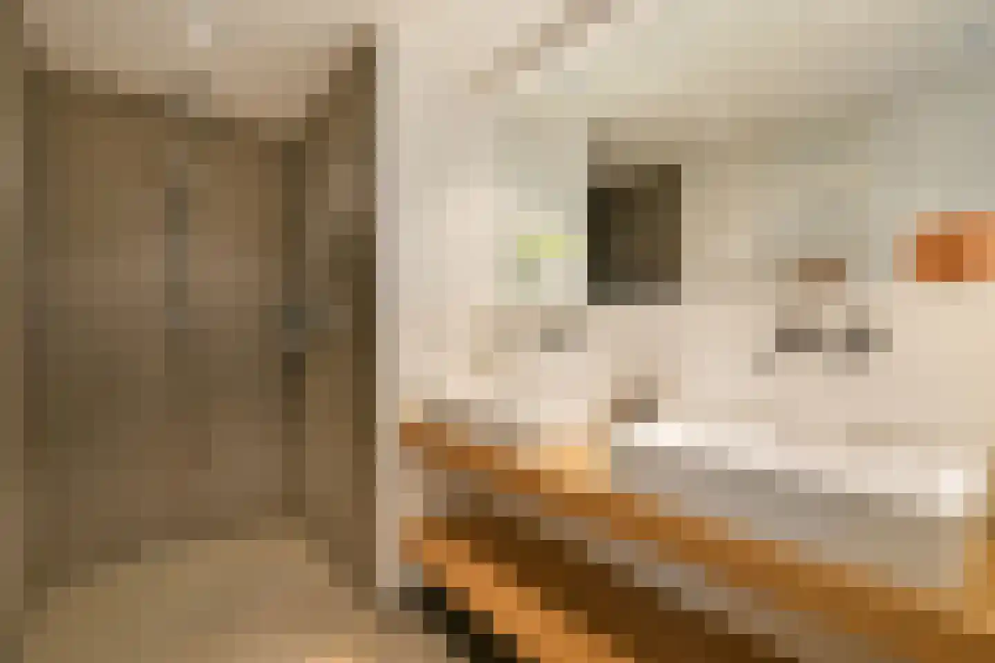 Elandsstraat 3 B Amsterdam thumbnail 34