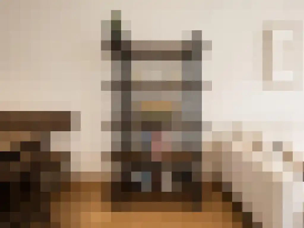 Elandsstraat 35 Amsterdam thumbnail 4
