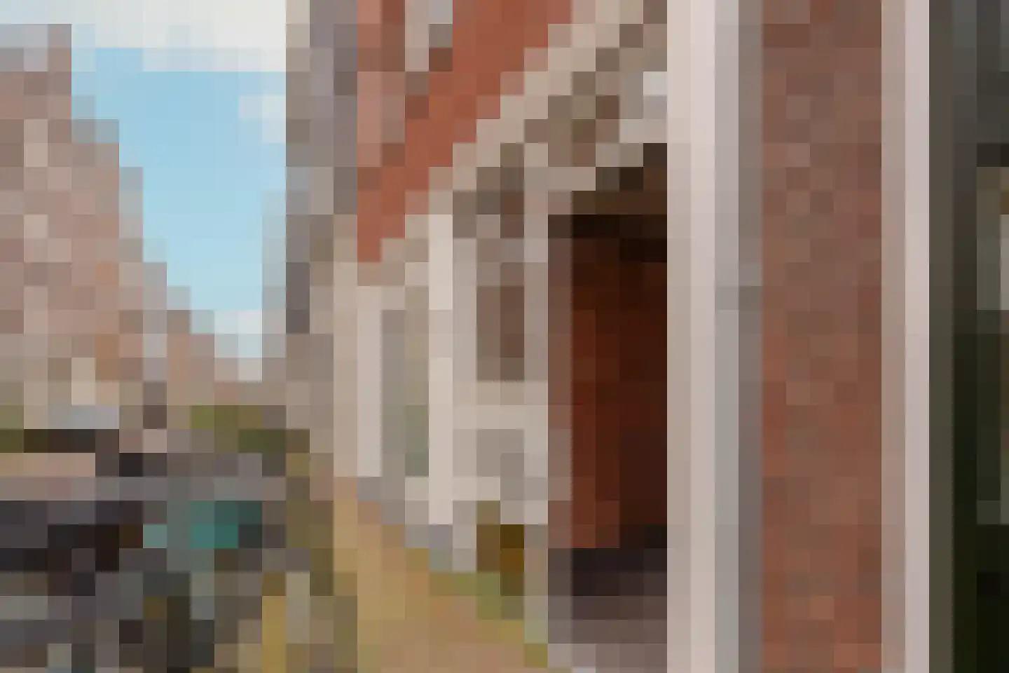 Elandsstraat 56 Amsterdam thumbnail 25