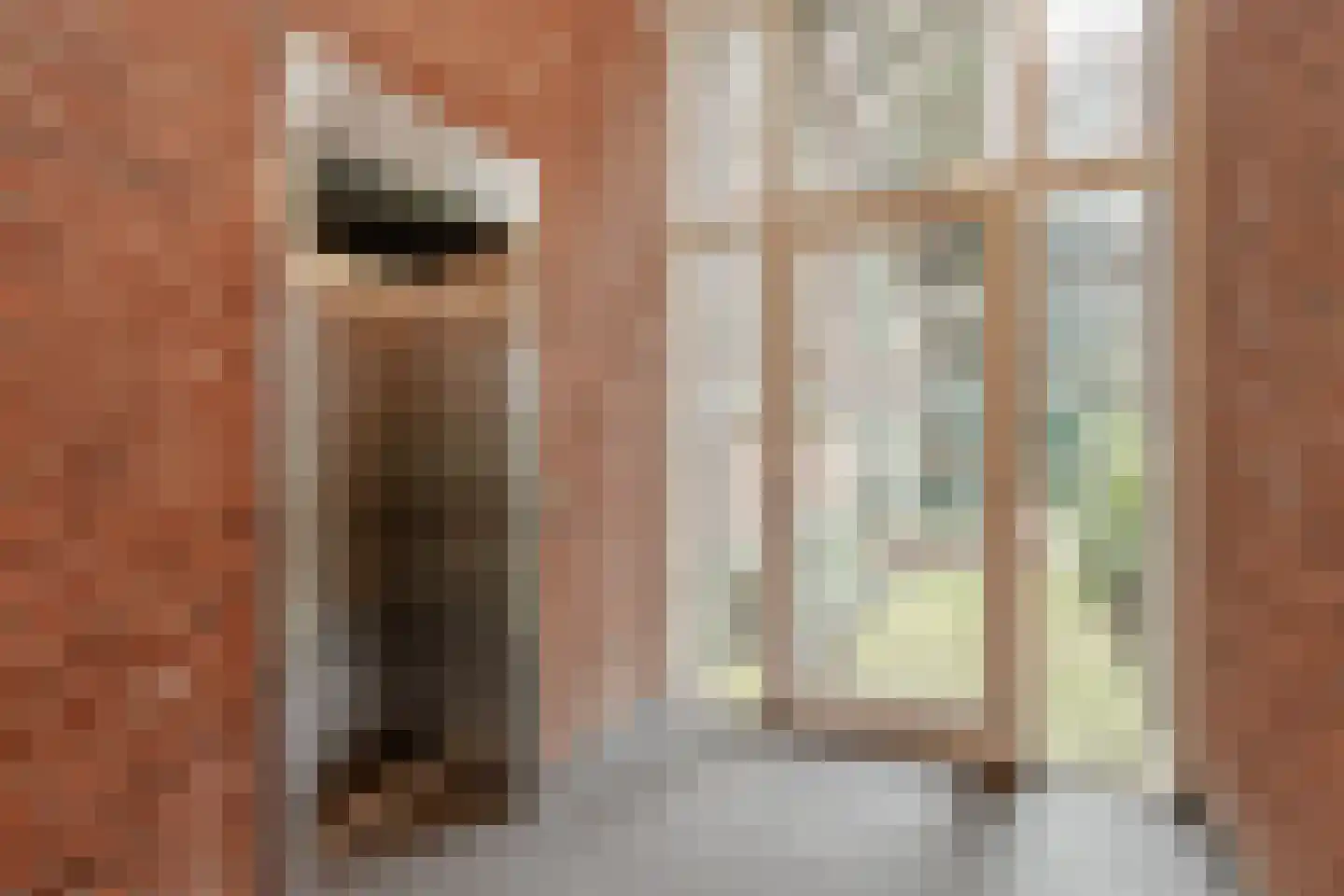 Elandsstraat 56 Amsterdam thumbnail 27
