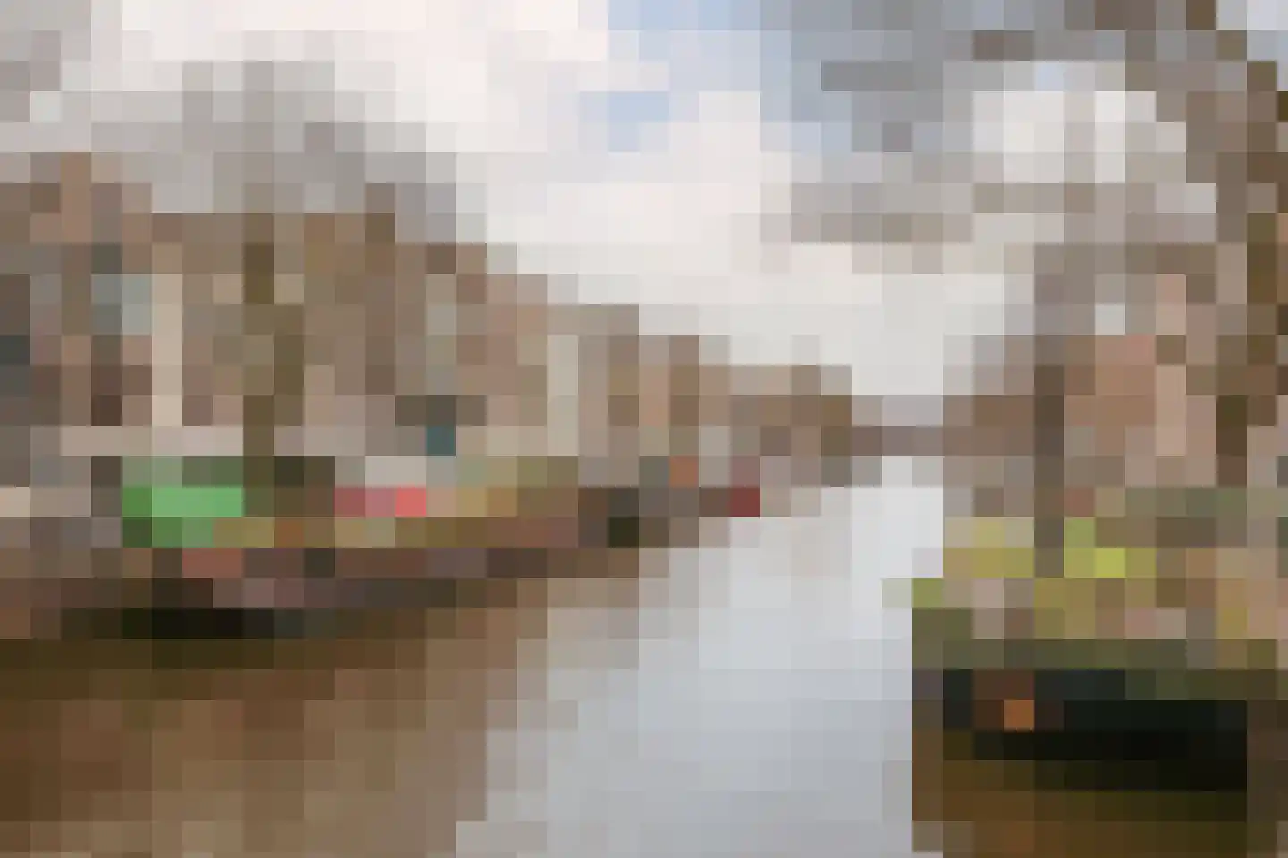 Elandsstraat 56 Amsterdam thumbnail 31