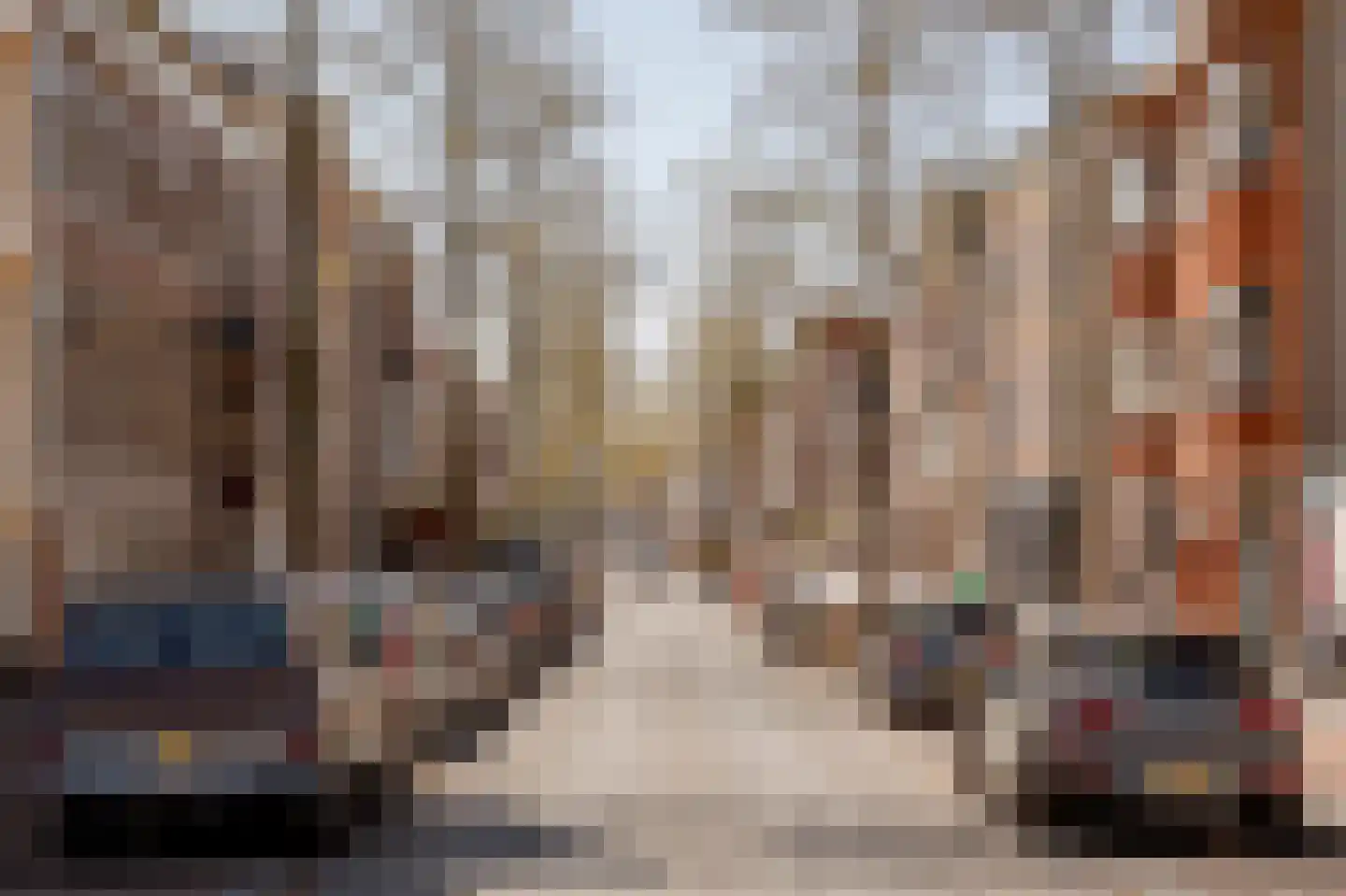 Elandstraat 1 E Den Haag thumbnail 18