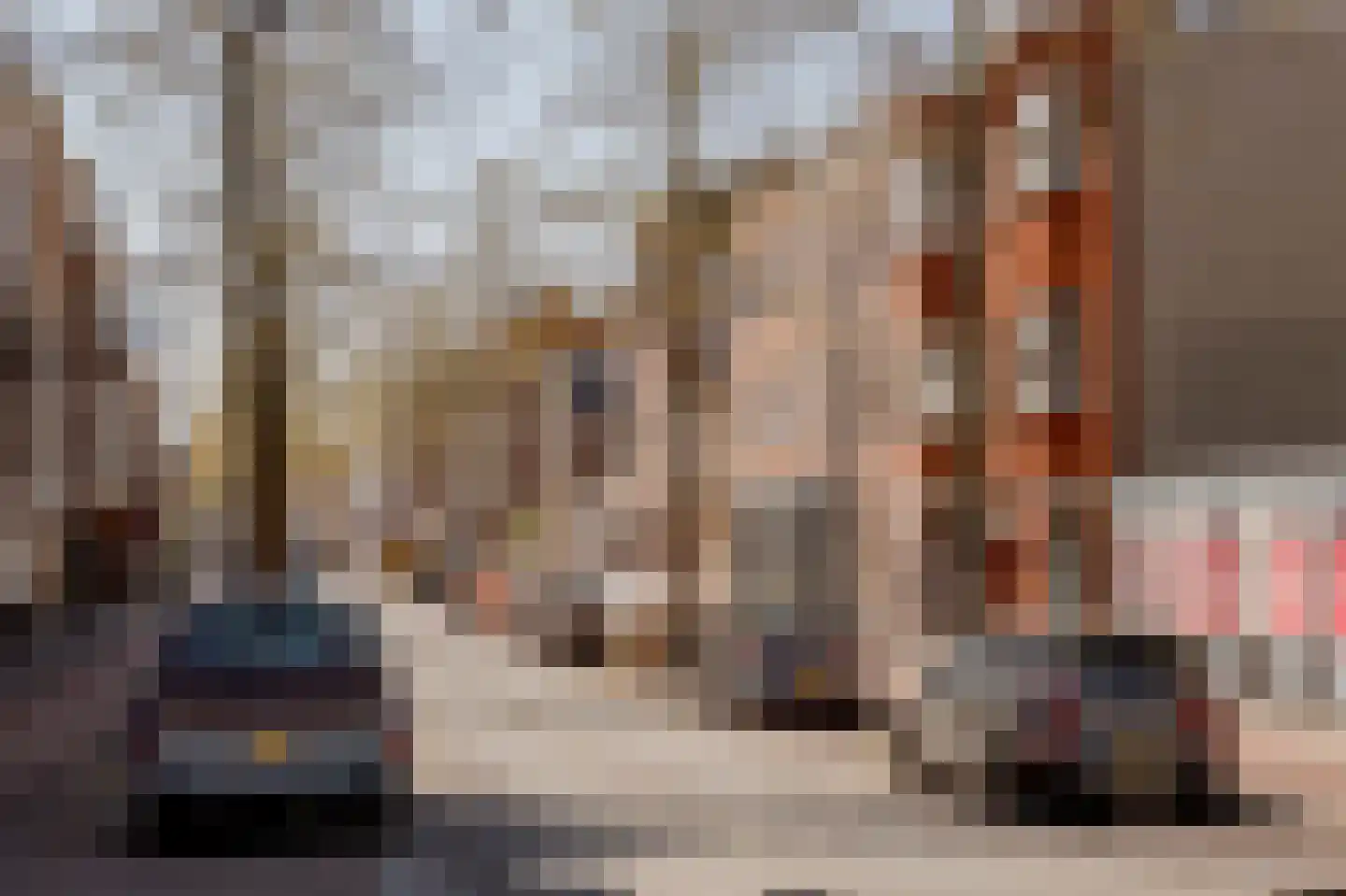 Elandstraat 1 E Den Haag thumbnail 19