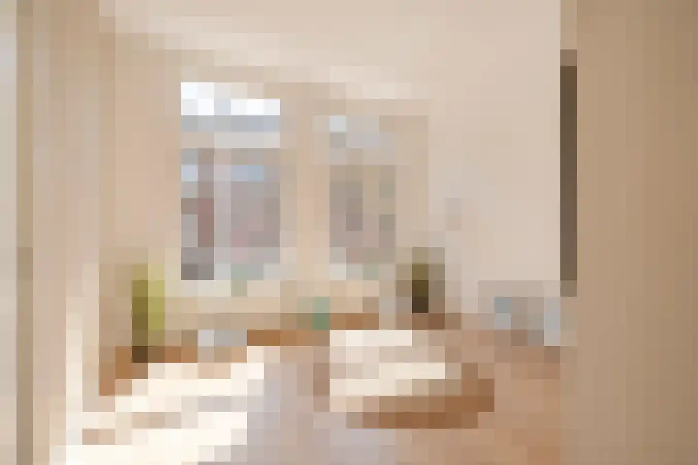 Elandstraat 1 E Den Haag thumbnail 6