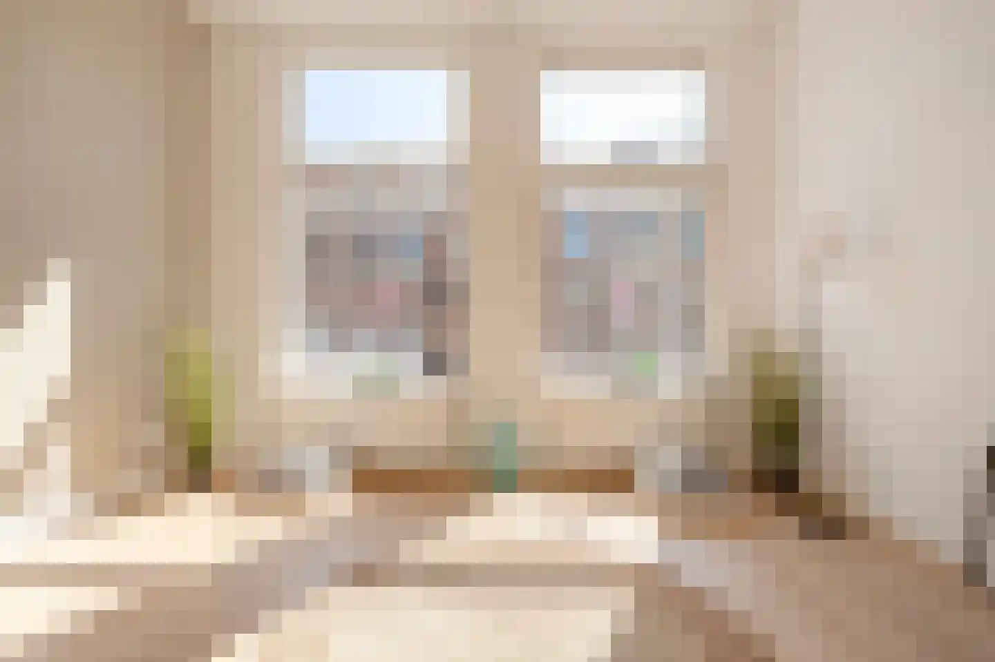 Elandstraat 1 E Den Haag thumbnail 7
