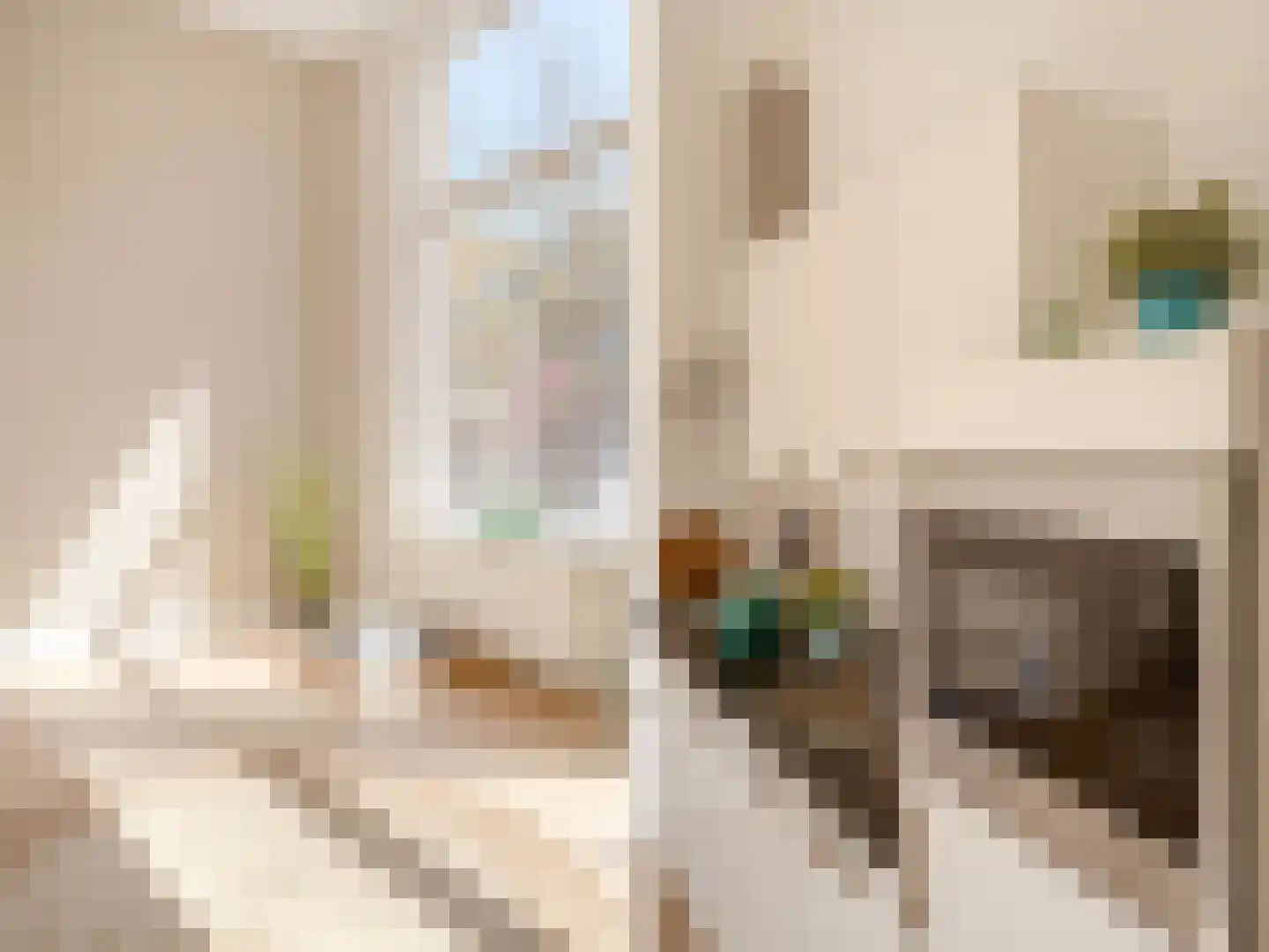 Elandstraat 1 E Den Haag thumbnail 9