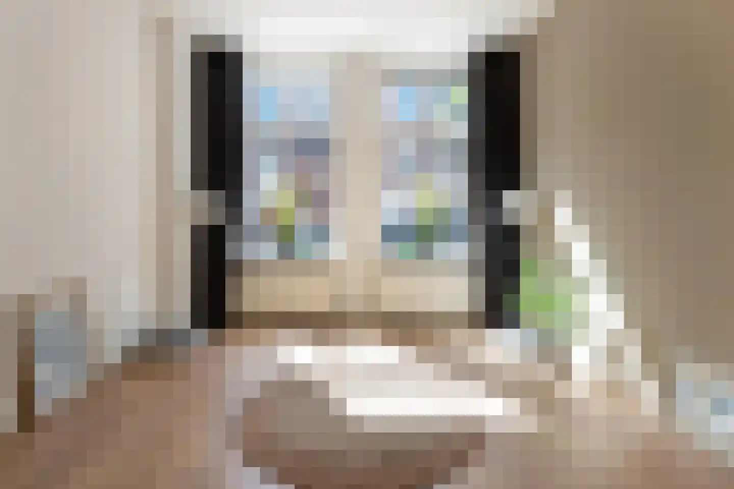 Elandstraat 3 Den Haag thumbnail 6