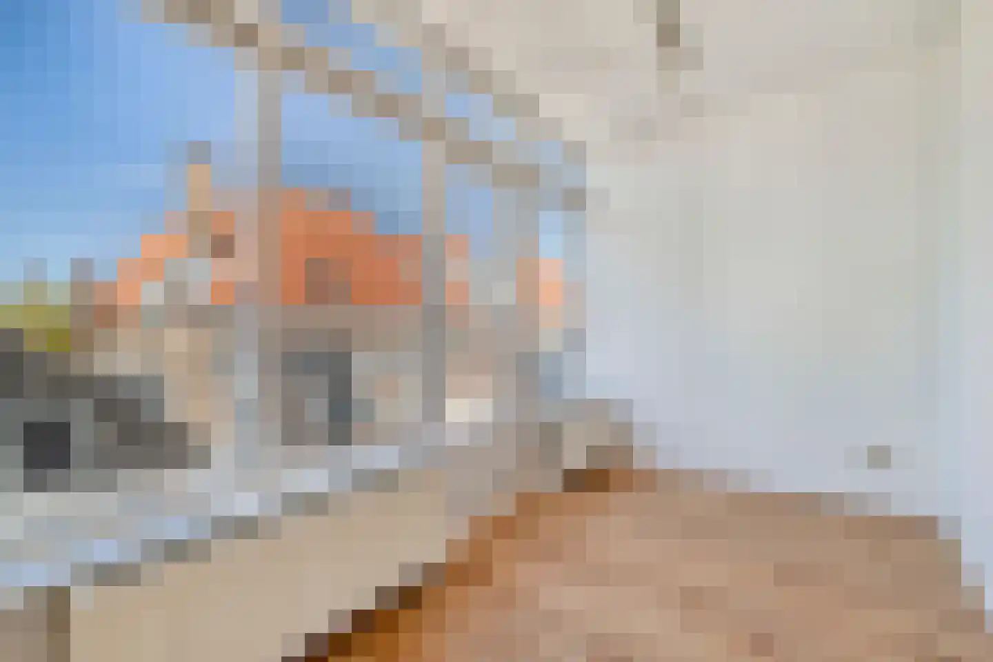 Elandstraat 35 B Den Haag thumbnail 10