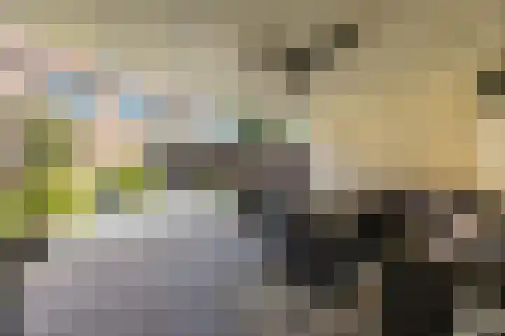 Elandstraat 37 Volkel thumbnail 4