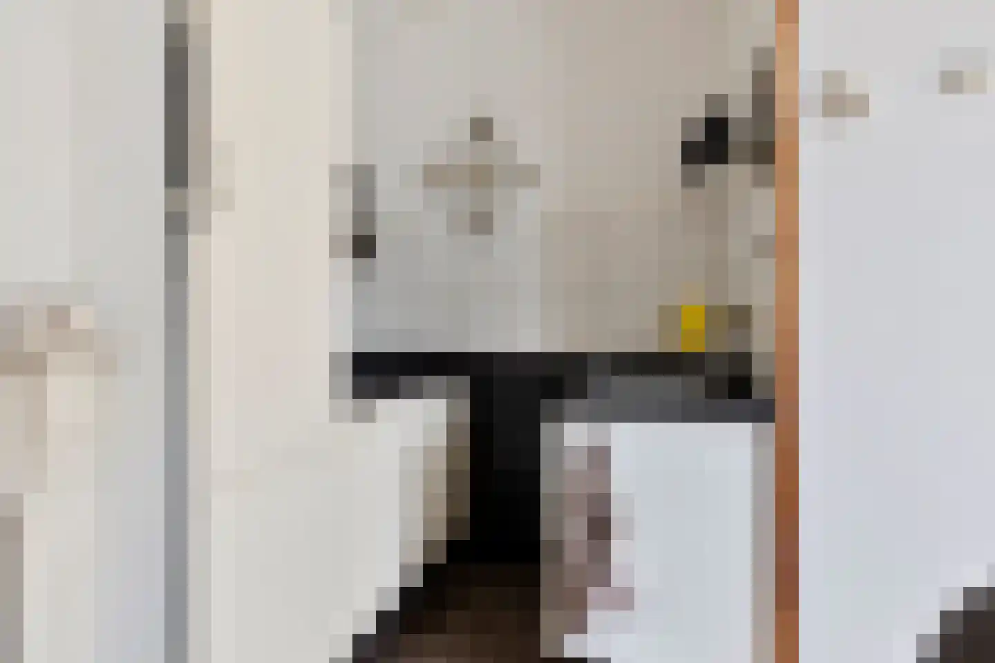 Elandstraat 4 Rotterdam thumbnail 12