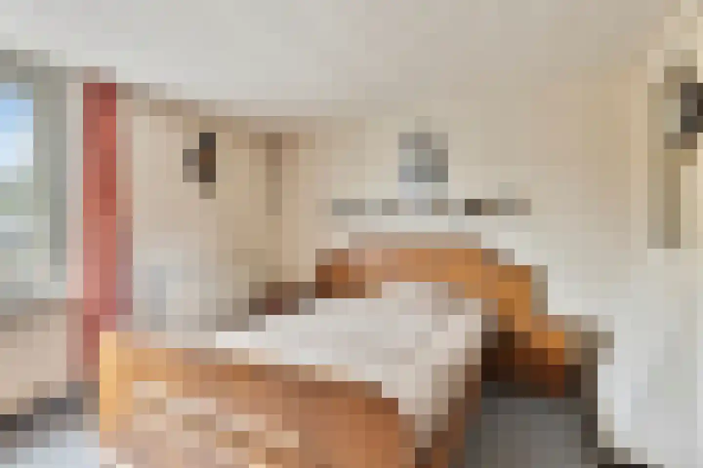 Elandstraat 4 Rotterdam thumbnail 17