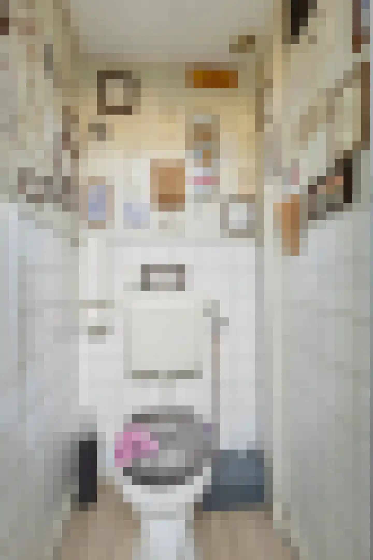 Elandstraat 4 Rotterdam thumbnail 5