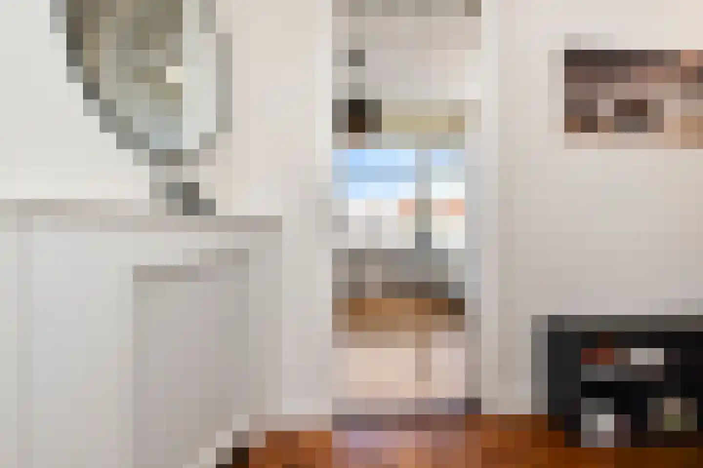Elandstraat 86 Den Haag thumbnail 7