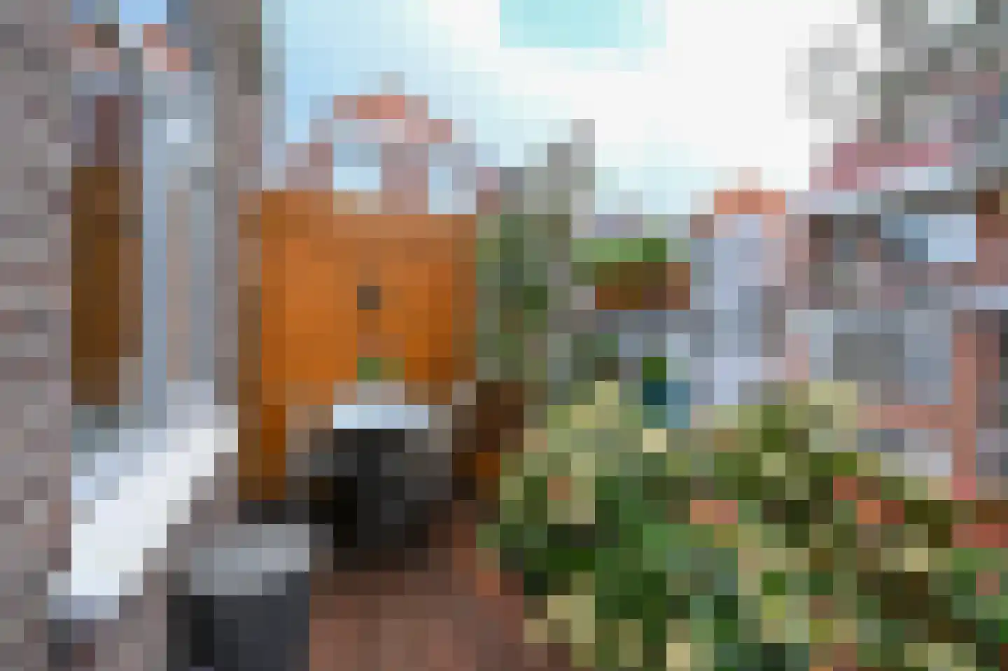 Elandstraat 89 B Den Haag thumbnail 29
