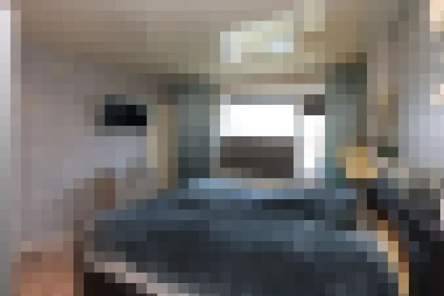 Elandweg 22 Swifterbant thumbnail 21