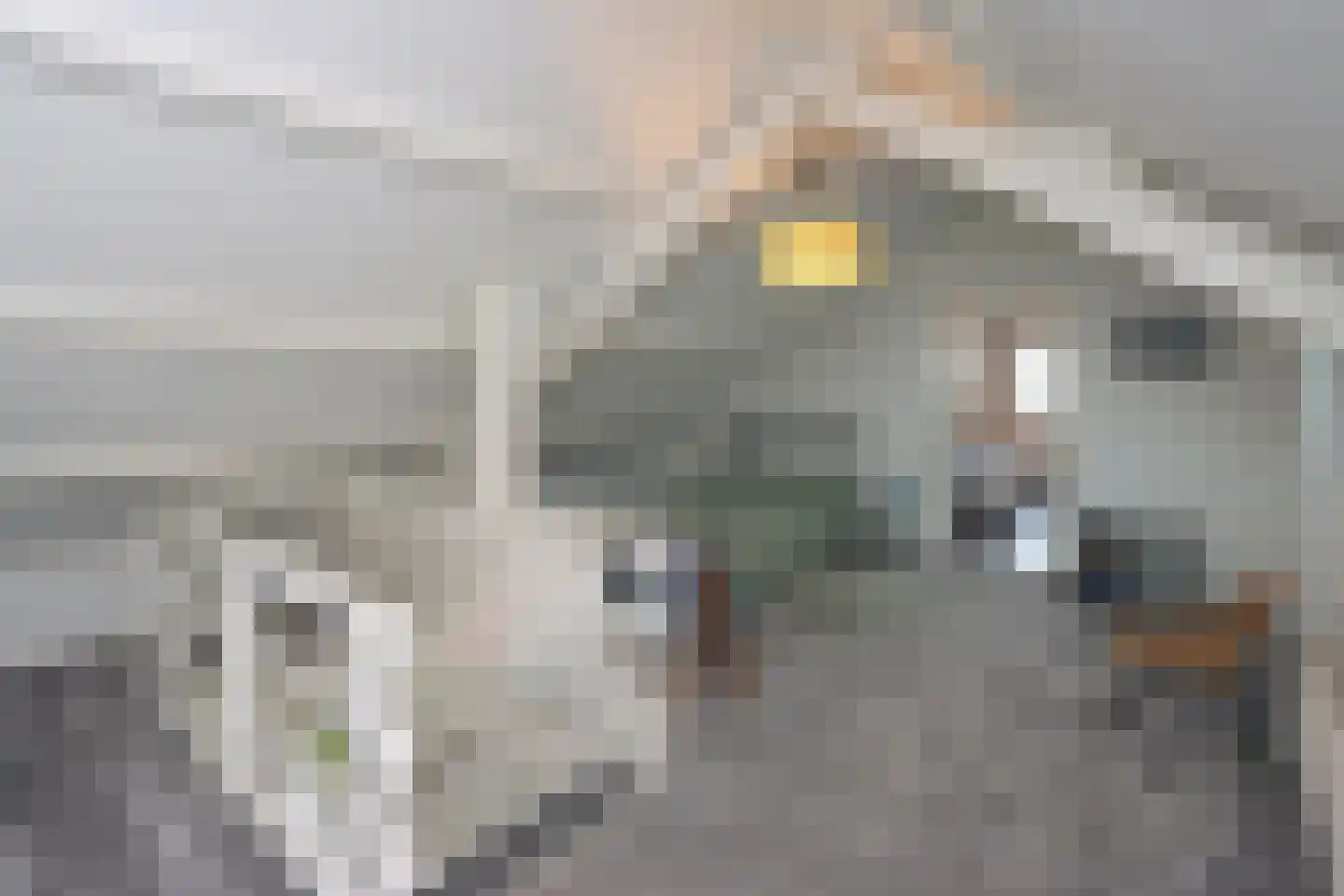 Elandweg 22 Swifterbant thumbnail 31
