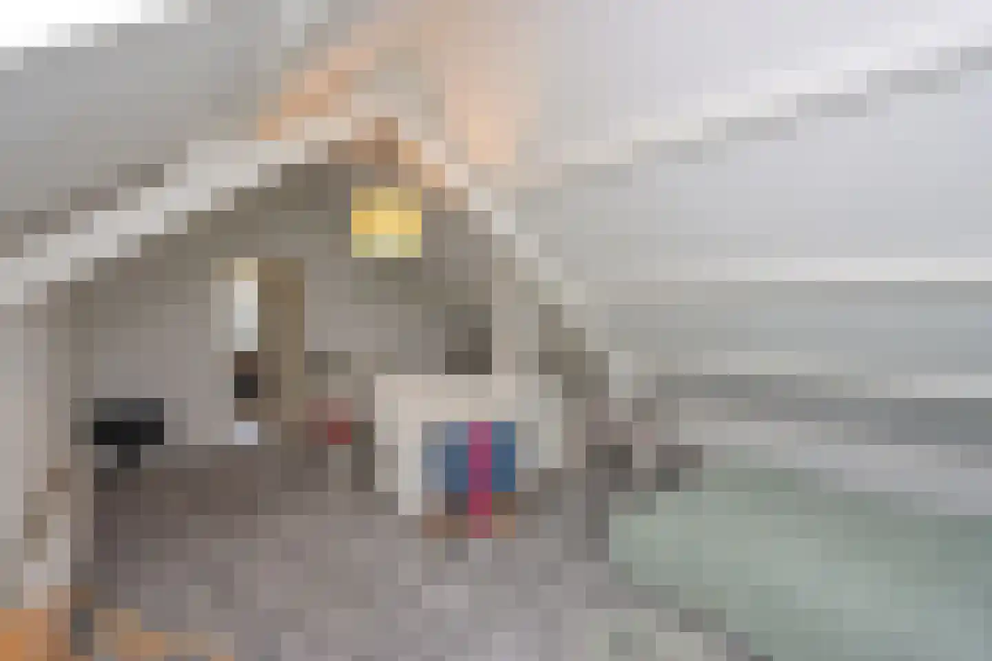 Elandweg 22 Swifterbant thumbnail 32