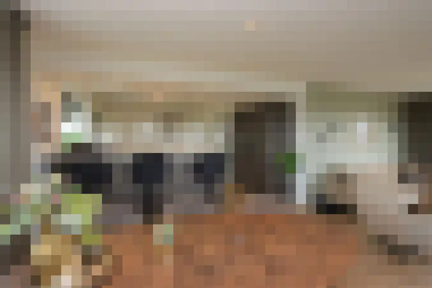 Elandweg 22 Swifterbant thumbnail 9