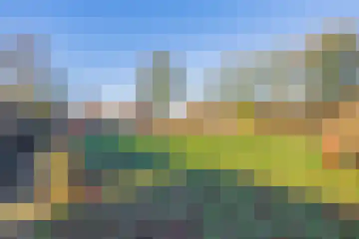 Elandweide 17 Nieuwegein thumbnail 27