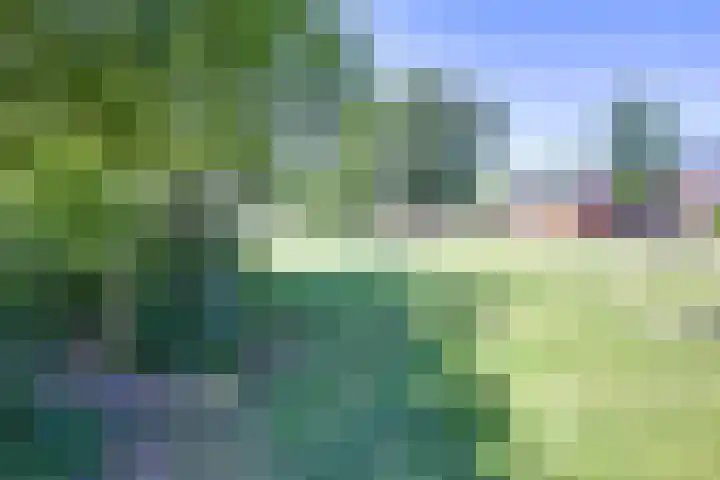 Elandweide 98 Nieuwegein thumbnail 69