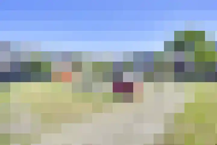Elandweide 98 Nieuwegein thumbnail 70