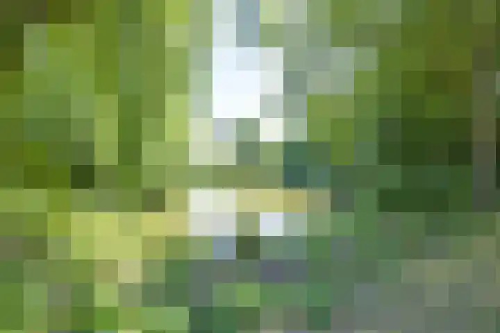Elandweide 98 Nieuwegein thumbnail 73