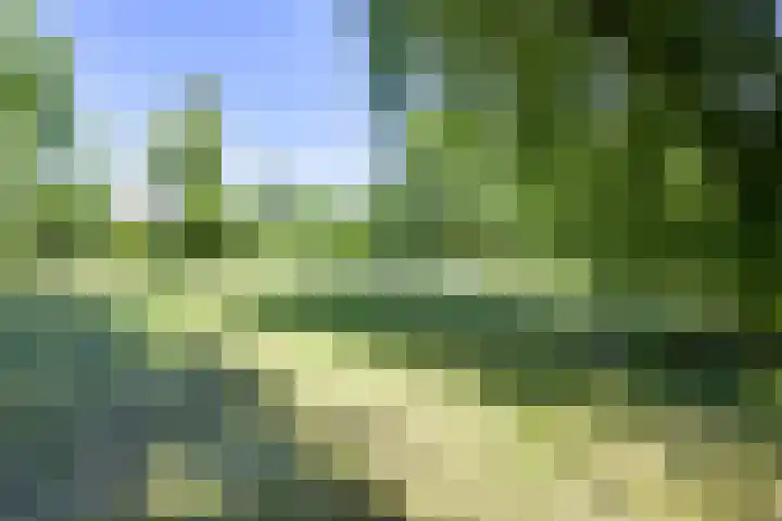 Elandweide 98 Nieuwegein thumbnail 74