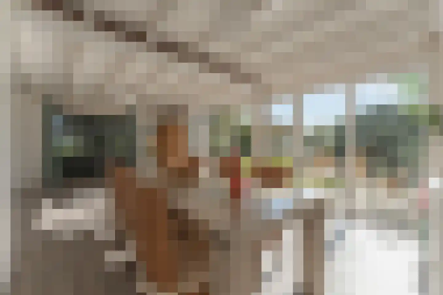Elba 1 Hem thumbnail 10