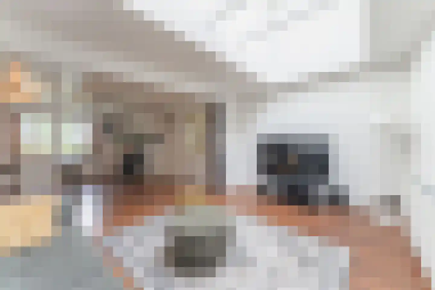 Elba 1 Hem thumbnail 17