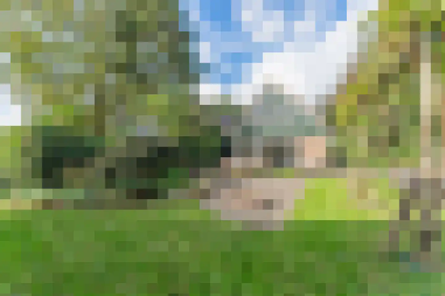 Elba 1 Hem thumbnail 38